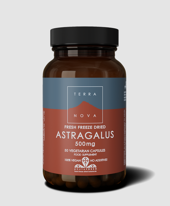 Astragalus 500mg by Terranova