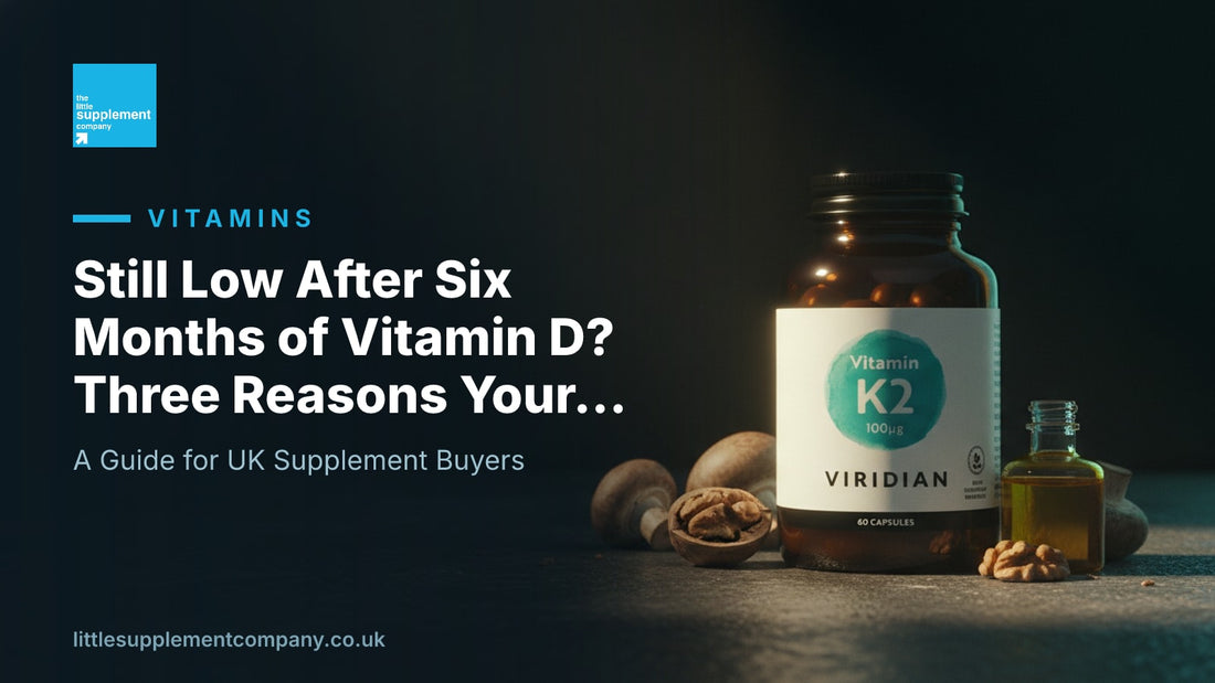 Still Low After Six Months of Vitamin D? Three Reasons Your GP Probably Won't Mention - Little Supplement Company