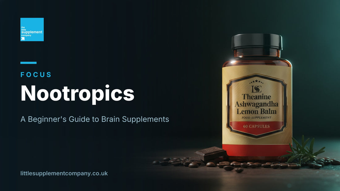 Nootropics: A Beginner's Guide to Brain Supplements