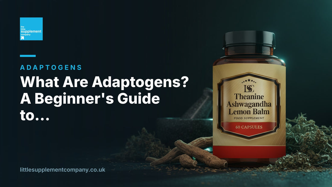 What Are Adaptogens? A Beginner's Guide to Ashwagandha, Rhodiola and More