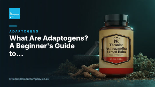 What Are Adaptogens? A Beginner's Guide to Ashwagandha, Rhodiola and More